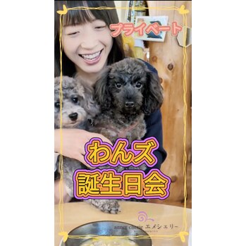 愛犬ハッピーバースデー！