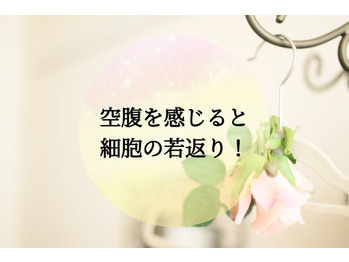 お腹を空かせて細胞を若返らせろー！