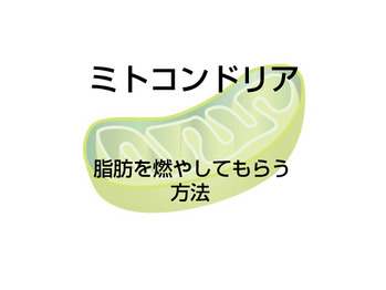 【ファスティング】脂肪を燃やしてもらう方法