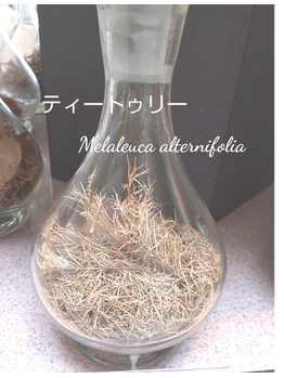 【アロマ】寒い時期の強い味方!