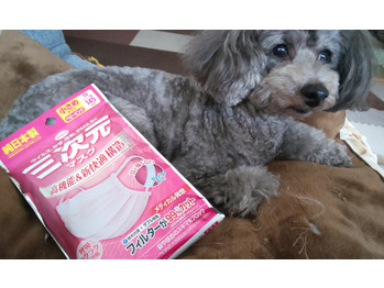 【リラックス】気持ちの疲れが限界？？