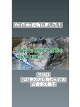 【プライベート】YouTube更新しました♪