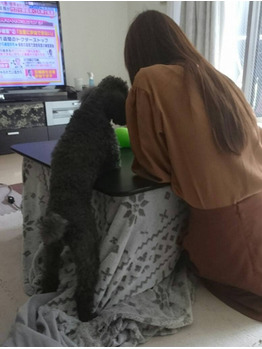 しんどくなる前にしなきゃいけないこと