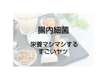 菌で増し増し♪菌活☆