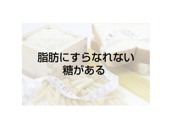 脂肪にすらなれない糖のゆくえ