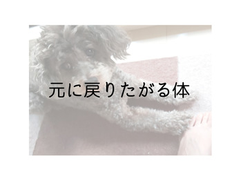 体って長くいた状態が心地よいみたい