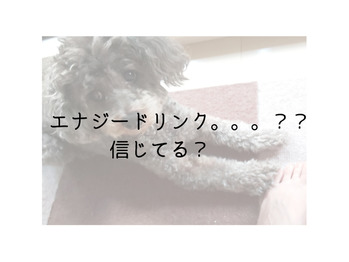 「疲れをとる」文言に騙されるな！！