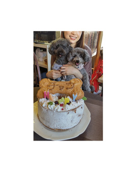愛犬のお誕生日♪