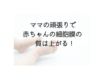 ママが作る赤ちゃんの細胞！