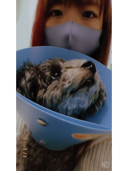 愛犬がおハゲに！！