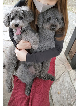 何をしていても可愛いと思う犬バカ＾＾