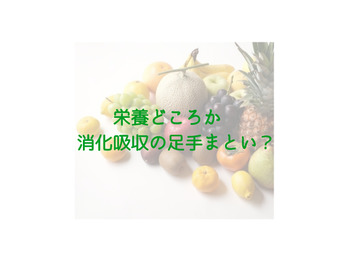 栄養どころか消化吸収の足手まとい？