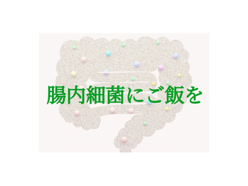 私のご飯というより善玉菌のご飯♪