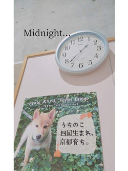 深夜の愛犬の救急で