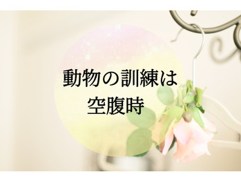 動物の訓練は空腹時！？