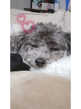 しんどいときもアロマ大活躍やって！