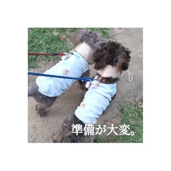お犬様のために！！