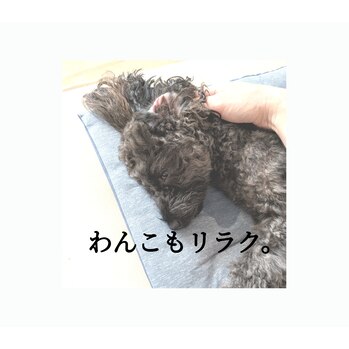 わんこもマッサージをご所望。