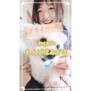 現代のわんこは歯磨きもする